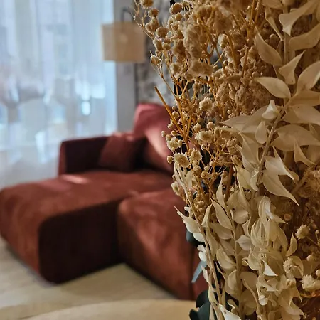 Apartament La Casita Trivala Carcassonne