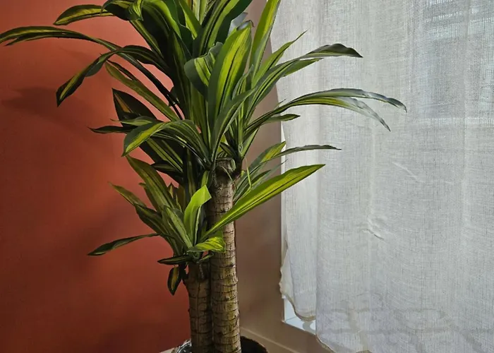 Apartman La Casita Trivala