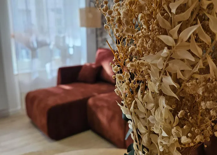 Apartment La Casita Trivala Carcassonne